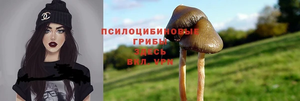 бошки Березники