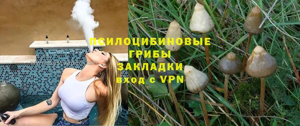 бошки Березники