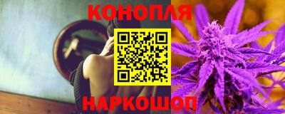 МДПВ Камышлов